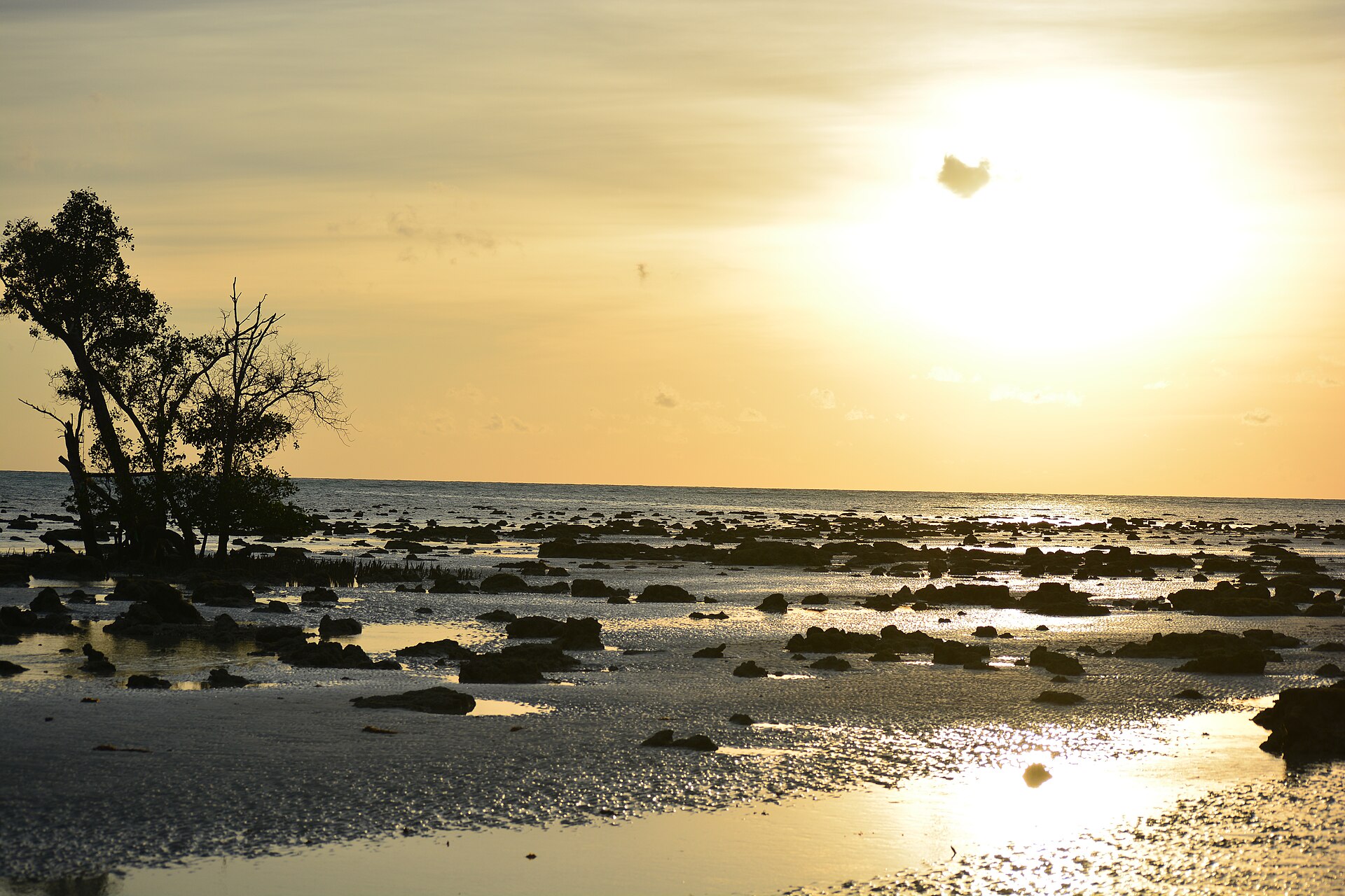 These pictures are captured by my new DSLR camera Nikon D5200 while I was in my family trip to Andaman and Nicobar Islands, India.