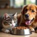 Gutes Katzen- & Hundefutter: Worauf es ankommt 9 Gutes Katzen- & Hundefutter: Worauf es ankommt