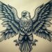 Adler Tattoo Bedeutung: Symbolik und Ursprung 8 adler tattoo bedeutung
