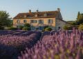 Frankreich 2026: Immobilien, Küche und Alltag für Auswanderer