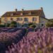 Frankreich 2026: Immobilien, Küche und Alltag für Auswanderer 8 Frankreich 2026: Immobilien, Küche und Alltag für Auswanderer