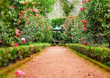 Gartengestaltung leicht gemacht