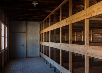 KZ-Gedenkstätte Dachau: Vorbereitung auf einen Besuch