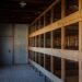KZ-Gedenkstätte Dachau: Vorbereitung auf einen Besuch