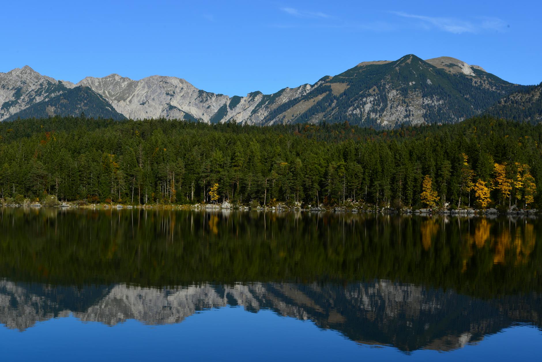 Serene lake reflection in Bavarian Alps, capturing nature's tranquility with mountains and pine forest.
