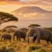 Eine Safari in Tansania als Begegnung mit Afrikas großer Wildnis