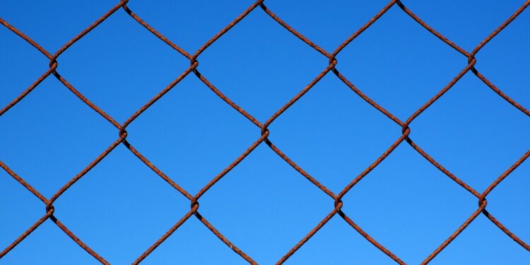 Der perfekte Zaun für Dein Zuhause: Sicherheit und Stil mit einem Doppelstabmattenzaun 1 Zaun