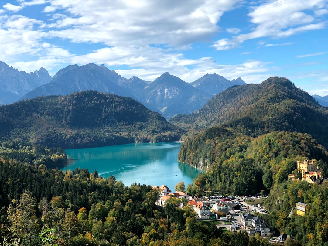 green trees near lake under blue sky during daytime